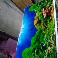 AQUARIUM WALLPAPER 30CMx100CM