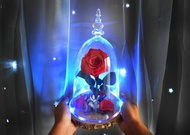 美女與野獸 玫瑰大玻璃罩 永生花 玫瑰花 求婚 客製化 送禮 乾燥