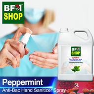 Antibacterial Hand Sanitizer Spray with 75% Alcohol (ABHSS) - mint - Peppermint - 5L