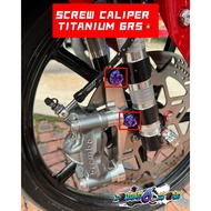 ORIGINAL TITANIUM PURPLE GR5 STAINLESS STEEL SCREW CALIPER YAMAHA Y15ZR Y16ZR LC135 LAGENDA SOLARIZ 