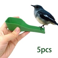 [mojotorw7] 5 Pieces Bird Feeder Spoon Funnel Parrot Feeding Spoon Chick Geese Chicken Feed Spoon Bi