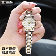 Watch Women's Watch Brand Women's Watch Waterproof Simple Temperament Quartz Watch Women's Watch Wom