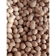 Atom Nuts 500 Grams / Atom Nuts 500 Grams