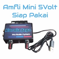 amplifier mini 5 volt RCA power mini power amplifier mini ampli mini bass subwoofer  Audio / Professional Audio Equipment / Amplifiers Terbaru 2022