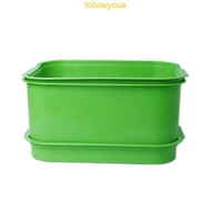 fol Sprouting Tray for Mung Wheatgrass Indoor Garden Nutritious Growing Container