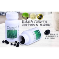 Wheatgrass&Alfalfa plus （120 softgels） 小麦草和苜蓿（120粒软胶囊）