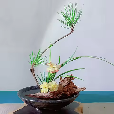 Flower Frog Japanese Ikebana Set Desktop Ceramic Bowl Vase with Kenzan Needle Flower Arrangement Hol