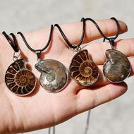 Natural Crystal Stone Conch Fossil Slice Pendant Rough Stone Mineral Spotted Colorful Conch Fossil E