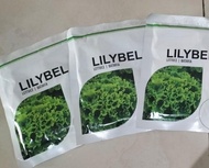 Benih Bibit selada Batavia Lilybel 1000 pill - Bejo terlaris