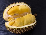 （包送貨）✈️馬來西亞🇲🇾彭亨州D197頂級貓山王空運到港～🥰