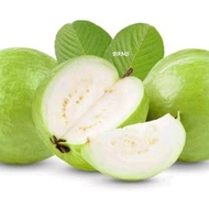 Buah jambu kristal segar kualitas super sedikit biji netto 1 kg bisa cod Frozen