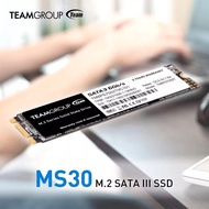 TeamGroup MS30 M.2 2280 SATA Internal SSD 256GB / 512GB / 1TB