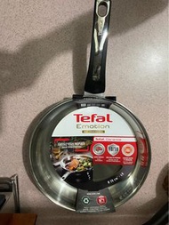 Tefal 不鏽鋼煎pan