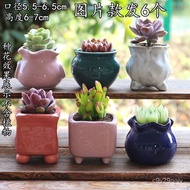 Succulent Flower Pot Ceramic Clearance Simple Indoor Large Household Succulent Thumb Small Flower Pot Device