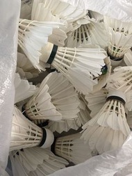 RSL 羽毛球🏸