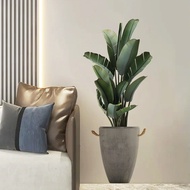 Wall Stickers Green Plants Potted Plants Living Room Bedroom Background Wall Decoration Wall Sticker