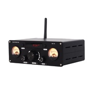 PJ.MIAOLAI SA70 Bluetooth Power Amplifier TPA3255 High-Power Digital Sound Amplifier XLR/USB/RCA 250