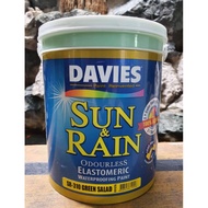 Sun &amp; Rain SR-310 Green Salad 4L Davies Sun And Rain Waterproofing Elastomeric Paint 1 Gallon