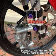 ORIGINAL TITANIUM PURPLE GR5 STAINLESS STEEL SCREW CALIPER YAMAHA Y15ZR Y16ZR LC135 LAGENDA SOLARIZ 