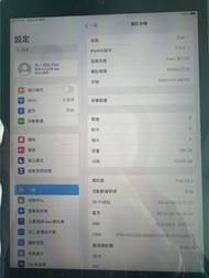 iPad 7 cellular 128GB