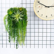 空氣鳳梨蕨葉植生框/擬真植物/壁面裝飾/花禮/電箱佈置/居家佈置