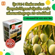 มะม่วง ผลดก ผลใหญ่ น้ำหนักดี ฉีดพ่น ปุ๋ย FK-1 ต้นทุนต่อไร่ถูกกว่าปุ๋ยเม็ด 4 เท่า เพิ่มผลผลิตสูงสุด 2