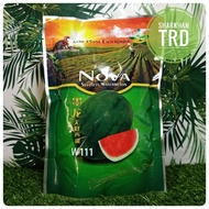 NEW STOCK 🔥Paket 200g W111 NOVA Seedless Watermelon Seeds Biji Benih Tembikai Boci Madu Merah Tanpa 