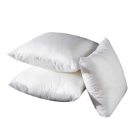 Real Home Cushion Core 35x35/40x40/45x45/50x50/55x55/60x60/65x65/30x50/35x55/40x60cm Waist Cushion C