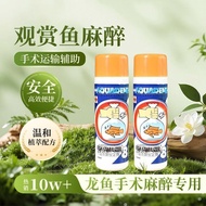 Arowana Surgery Anesthesia Tail Repair Special Effects Agent Ornamental Fish Stabilizer Aquarium Buc