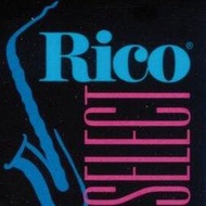 亞洲樂器 Rico Jazz Select Soprano Saxophone 高音薩克斯風 (1片)