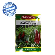 HOT🔥🔥🔥 🌶️🌶️🌶️Benih Fertigasi Cili Api 508 SAKATA Hot Pepper F1 Hybrid Irrigation Chillies Seeds 5g