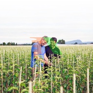 Phân Bón Natri 4 Chelate Edta Tetrasodium Na4 Edta Edetate Sodium (1 Kg)