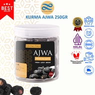 NABI Ajwa Dates Super Prophet's Dates 250g Original Medina