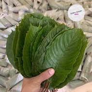 ใบกระท่อม 1กิโลกรัม kratom 1Kg.