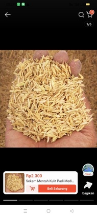 sekam padi 1kg kering