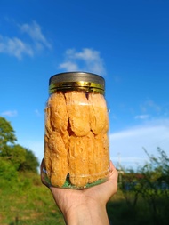 kuih lidah buaya kuih tiram