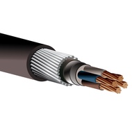 (Per Meter) Armoured Cable 4MM 2CORE