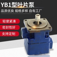 Quality Hydraulic Supply Reliable/Blade Pump Medium Pressure Double Type Blade Manufacturer Oil Pump