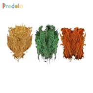 predolo Model Trees Miniature Trees Sand Table Hobby Train Scenery Material Resin Architecture Trees