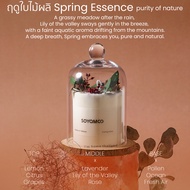 SOYAMOO เทียนหอมกลิ่นฤดูกาลต่างๆ ไม่จุดก็หอม ยิ่งจุดยิ่มหอม SOYAMOO scented candle aromatic candle