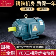 Three-Phase Abnormal Step Motor 8-Pole 30KW 37kw 45kw Motor YE3-55kw75kw New National Standard Motor