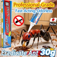 【30g Most Affordable】VM Ant bait killer Semut racun Ant bait killer Ant killer  30g/ 100% mortality 