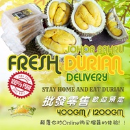 [𝗢𝗖𝗧 𝗝𝗕 𝗢𝗡𝗟𝗬] MusangKing S17 D13 D101 猫山王 Bekok KingFree Vacuum Pack 新鲜盒装榴莲真空包装新鲜榴莲外送