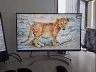 LG 31.5" UltraFine™ 4K 超高清顯示器- 32UN550-W