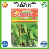 PROMO Benih Timun SEMI F1 (20 Gram) - Bibit Timun Lalap Baby Bintang