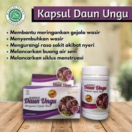 Kapsul daun ungu Kapsul Herbal Obat Wasir Ambeien Ambeyen Kapsul daun Ungu ash sihah / daun ungu