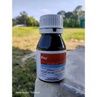 Pixy Racun Serangga 250ml.Sesuai Untuk Ulat Pengorek Batang Dan Ulat Gulung Daun