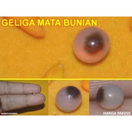 GELIGA MATA BUNIAN ASLI PERMATA BATU STONE FOR RING CINCIN HIGH QUALITY GERM STONE