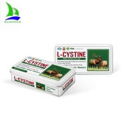 IRON BOX OF 60 L - CYSTINE PILLS FOR SKIN, HAIR, NAILS