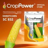 (500 GRAM) Biji Benih Jagung Manis Big Sweet 甜大棒  SC832 CROP POWER F1 HYBRID Sweetcorn Seed 甜玉米种子 SC